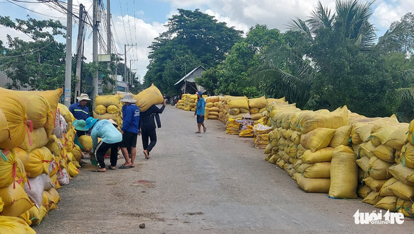 Người dân An Giang thu nhập thấp hơn bình quân cả nước do làm lúa?